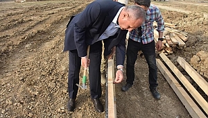 BAŞKAN YERİNDE İNCELEDİ