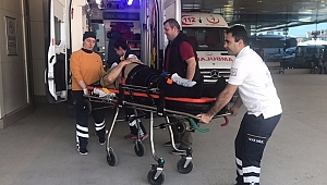 YAŞLI ADAM BUDAMAK İÇİN ÇIKTIĞI AĞAÇTAN DÜŞTÜ