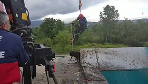 KURTARMA OPERASYONU