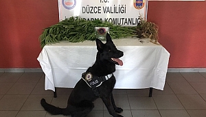 UYUŞTURUCU OPERASYONU