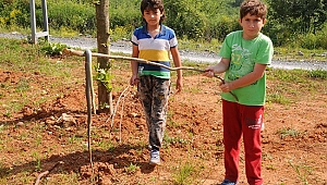 YILANLAR KORKUTUYOR!