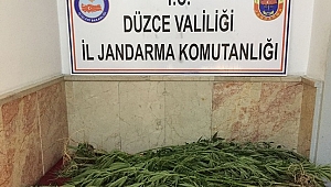 JANDARMADAN KENEVİR OPERASYONU