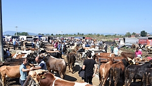 KURBAN KESİM FİYATLARI BELLİ OLDU