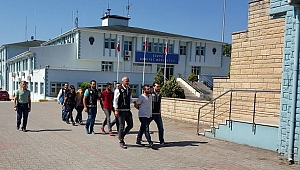 POLİS BONZAİ SATICILARINA SAVAŞ AÇTI