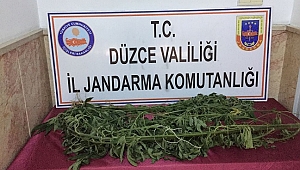 SERADA UYUŞTURUCU
