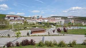 TARIMSAL ATIKLARDAN KİMYASAL VE KOMPOZİT MADDE ELDE EDİLECEK