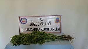 UYUŞTURUCU OPERASYONU