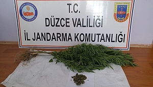 YIĞILCA'DA UYUŞTURUCU OPERASYONU