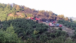 ÇAMLIKÖY'DE ORMAN YANGINI