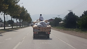 ÇUVALLAR ÜZERİNDE YOLCULUK
