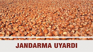 FINDIKÇILAR DİKKAT!
