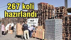 HALEP'E YARDIM