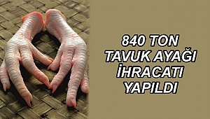 TAVUK AYAĞINA TALEP ÇOK