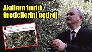FINDIĞA DEĞİL, ZEYTİNE BAKTI!