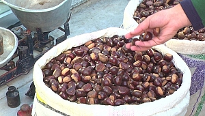 KIŞIN GÖZDESİ KESTANE PAZARA İNDİ