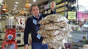 KIŞIN HABERCİSİ IHLAMUR ALTIN DEĞERİNDE
