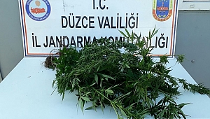 YURT DIŞINDAN UYUŞTURUCU SİPARİŞİ!