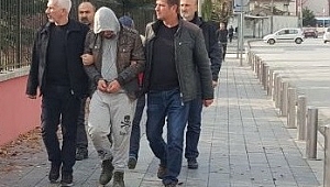 3 HIRSIZ TUTUKLANDI