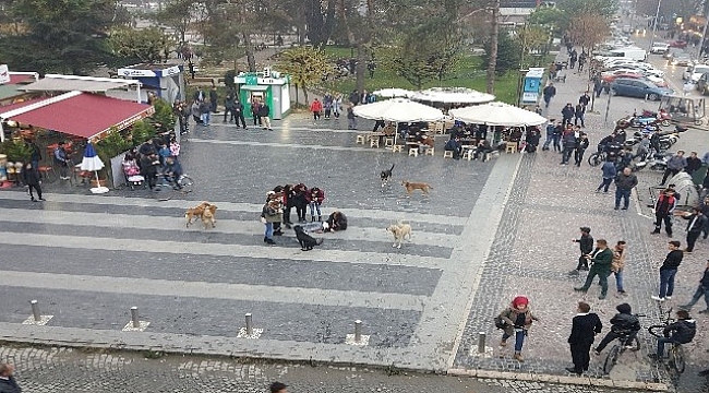 BEYAZ ZEHİRE KARŞI OYNADILAR