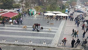 BEYAZ ZEHİRE KARŞI OYNADILAR