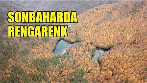 DOĞA HARİKASI YEDİGÖLLER