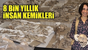 MEZARLARDAN ÇIKAN KEMİKLER DÜZCE'YE GETİRİLDİ