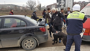 ŞOK DENETİM