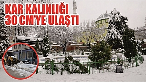 YIĞILCA'DA KAR BASTIRDI