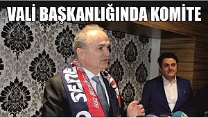 DÜZCESPOR ZİRVESİ