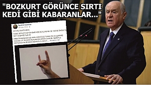 BAHÇELİ'DEN KORKMAZ'A AYAR!
