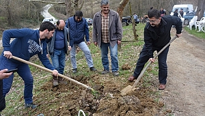 BÖLGESEL KALKINMADA İLK ADIM