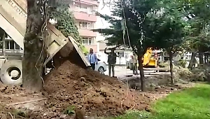 AĞAÇ KATLİAMI YAPILIYOR MU?