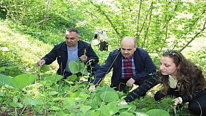 PROTOKOL OT TOPLADI