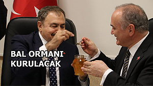 BAKANLARIN AĞIZLARI YIĞILCA BALIYLA TATLANDI