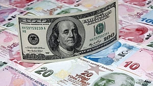 DOLAR DÜŞECEK Mİ?