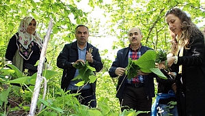 ŞİFA KAYNAĞI KALDİRİK