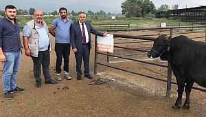 BAYRAM ÖNCESİ TEDBİRLER ALINDI