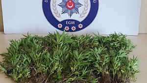 UYUŞTURUCU OPERASYONU