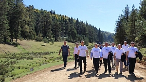 DÜZCELİLER DOĞA YÜRÜYÜŞÜNDE