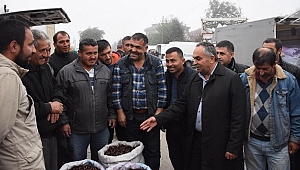 TÜRKİYE'NİN KESTANE BORSASI DÜZCE'DE