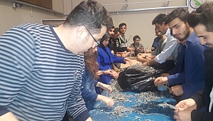 HASAT ÜRÜNE DÖNÜŞTÜRÜLMEYE BAŞLANDI