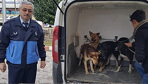HAYVANSEVERLERDEN EROL BAYRAKTAR'A TEPKİ