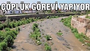BUGÜNE KADAR GÖRMEZDEN GELİNDİ