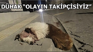 İNSANLIK ÖLMÜŞ!