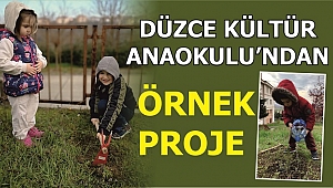ÇÖPE ATILAN HER TOHUM KAYBEDİLMİŞ BİR AĞAÇTIR