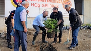 ÇAMLICUMA KÖYÜ HEP BİRLİKTE YEŞİLLENDİ