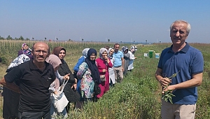 DÜZCELİ ÇİFTÇİ KADINLAR YALOVA’DA