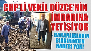 TANAL, SELZEDELERİN YANINDA