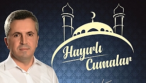 TOZAN NEREYE KOŞUYOR?