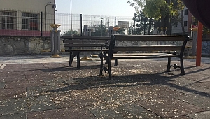 PARKLARDAKİ ÇÖPLER BİTMEK BİLMİYOR